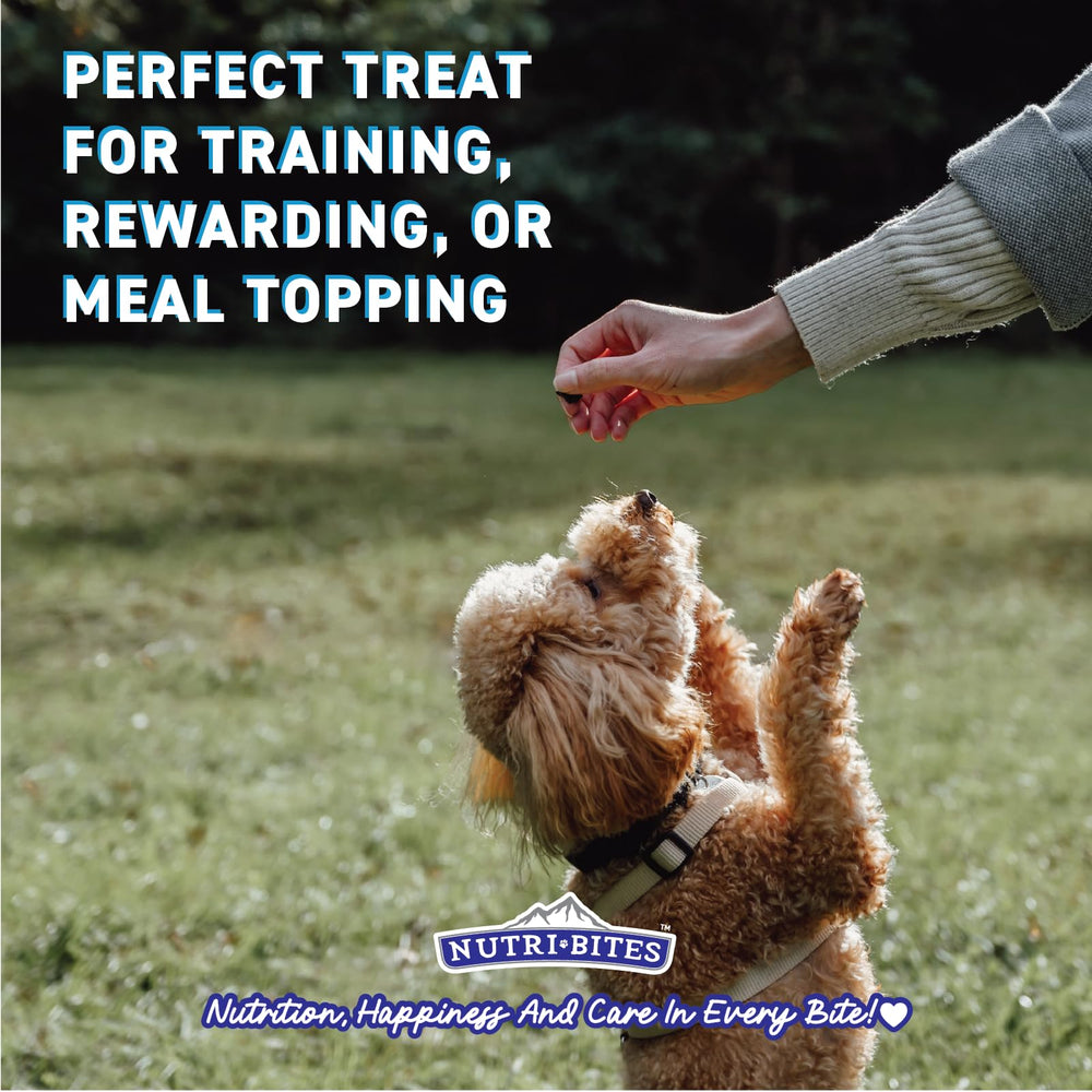 Nutri Bites freeze-dried chicken treats meal topper on bowl for meals.