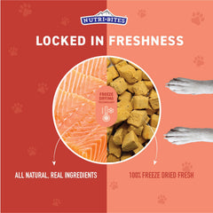 Nutri Bites Freeze-Dried Salmon Meal Topper enhances meals with protein.