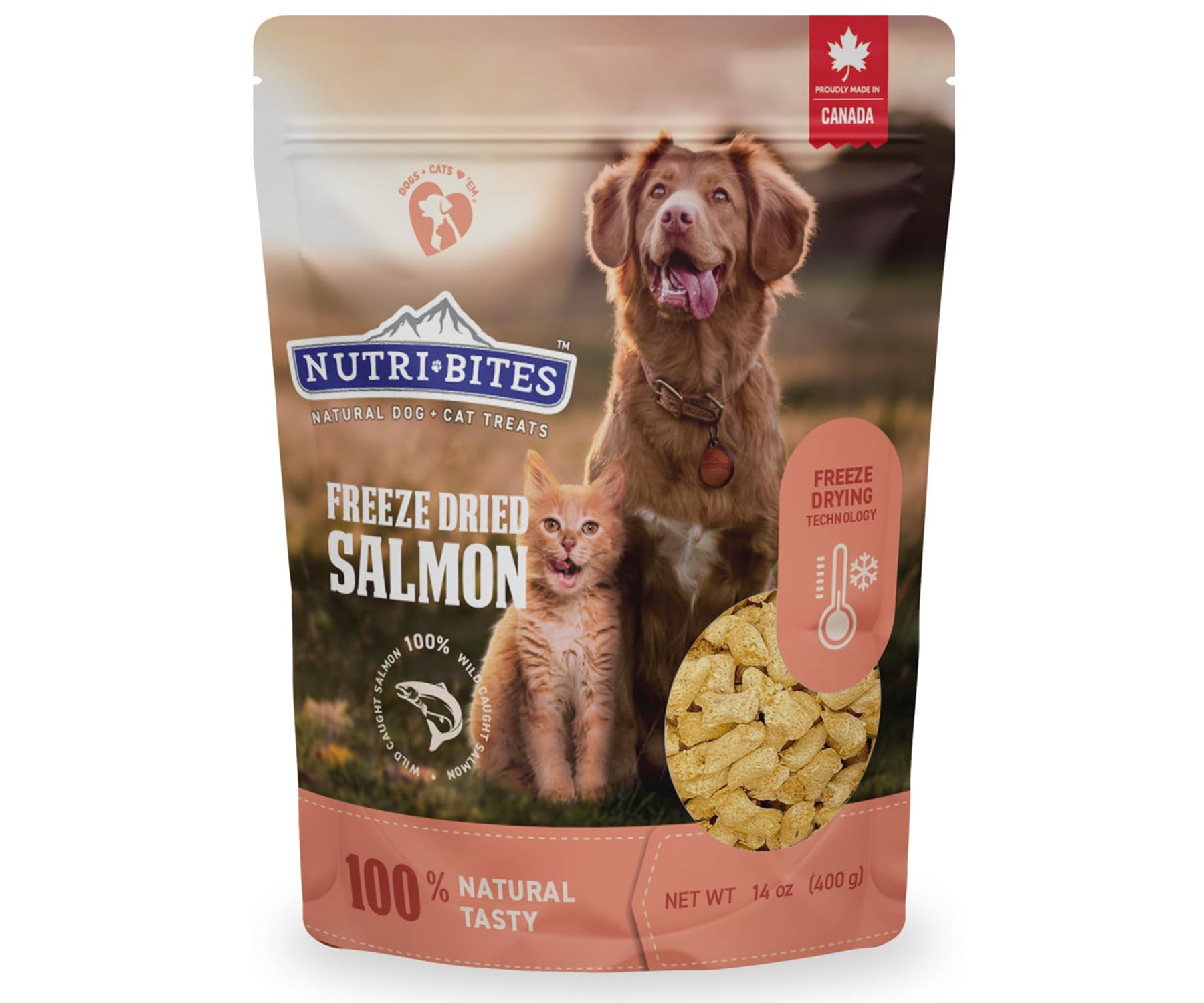 Nutri Bites Freeze-Dried Salmon Treat Bulk Pouch ready for daily rewards.