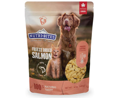 Nutri Bites Freeze-Dried Salmon Treat Bulk Pouch ready for daily rewards.