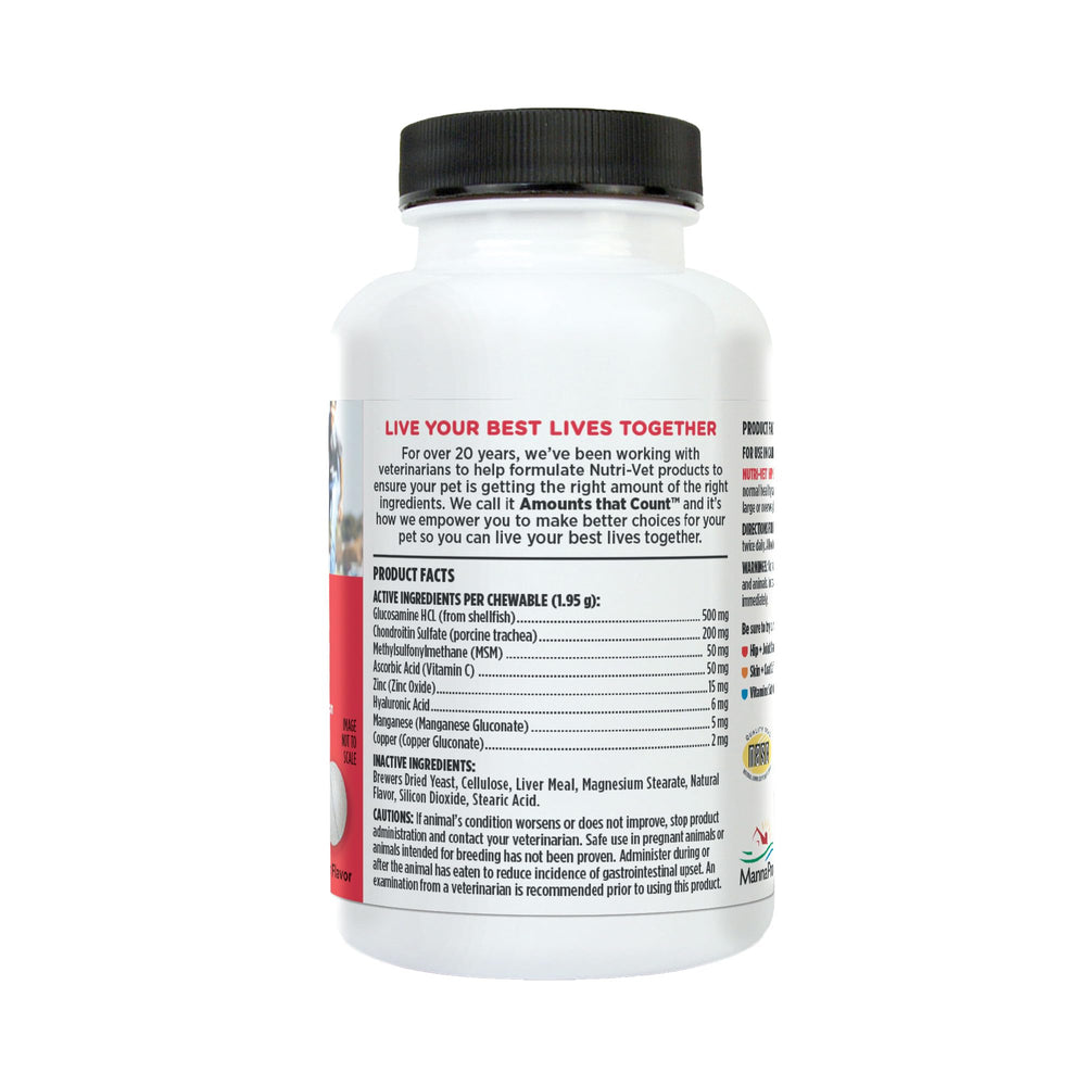 Nutri-Vet Active dog joint-support bottle promotes continued movement.