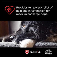 Nutri-Vet aspirin chewables dog treats side view, ready-to-feed option for quick administration.