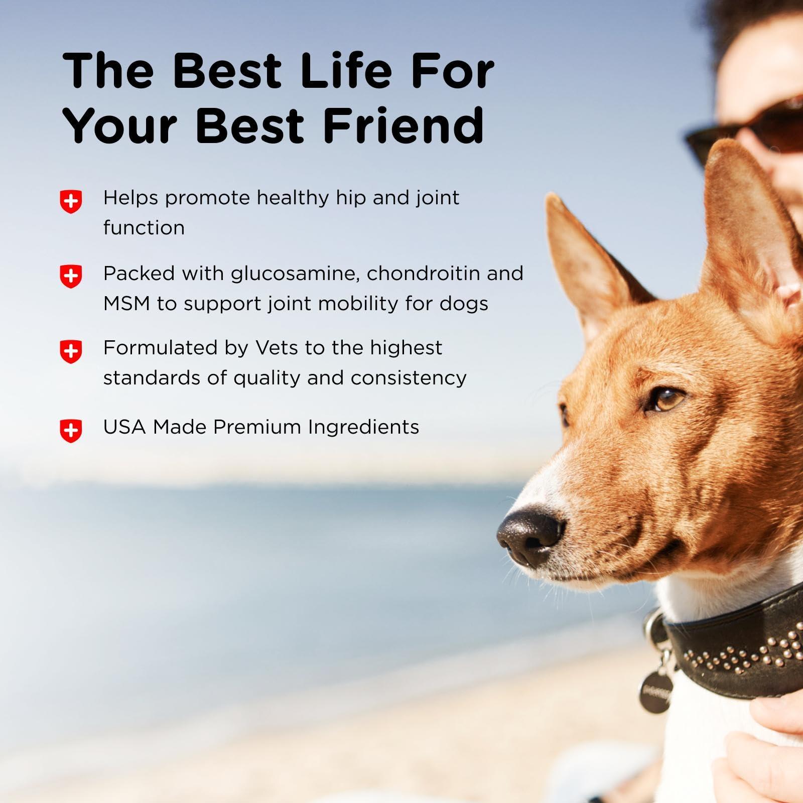 Nutri-Vet Veterinarian-formulated hip joint supplement signals trusted care for dogs.