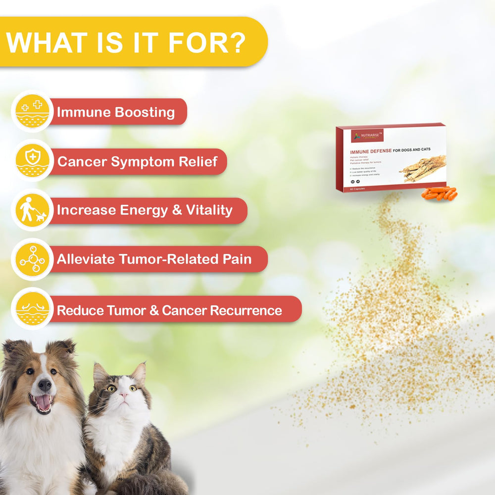 NUTRIARISE Immune Defense label closeup showing natural ingredients for trust