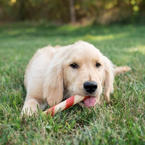 NutriChomps 6inch twist packaged close-up emphasizes size suitability for medium to large dogs