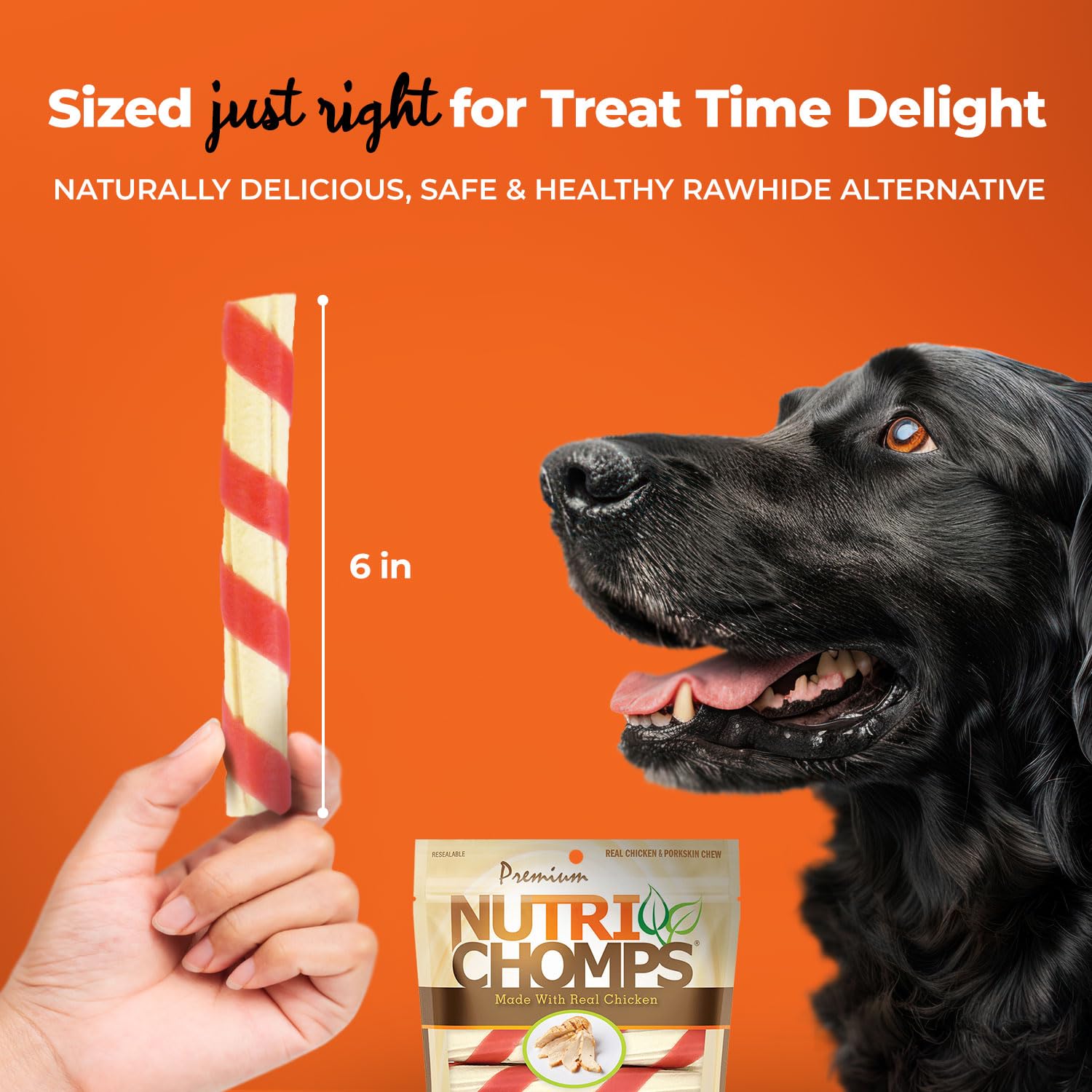 NutriChomps 100% rawhide-free dog treat supports easy digestion