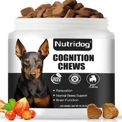 Nutridog Advanced Cognition Chews beef soft chews supporting cognitive engagement in aging dogs