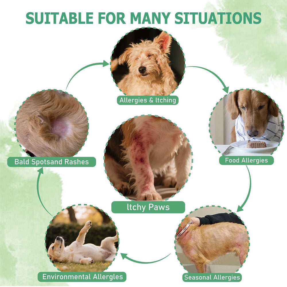 Nutridog allergy powder skin-healing highlights soothing hotspots and irritation reduction