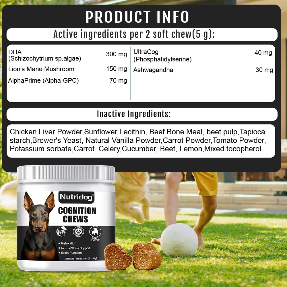 Nutridog beef-flavor soft chew close-up appealing texture for picky eaters