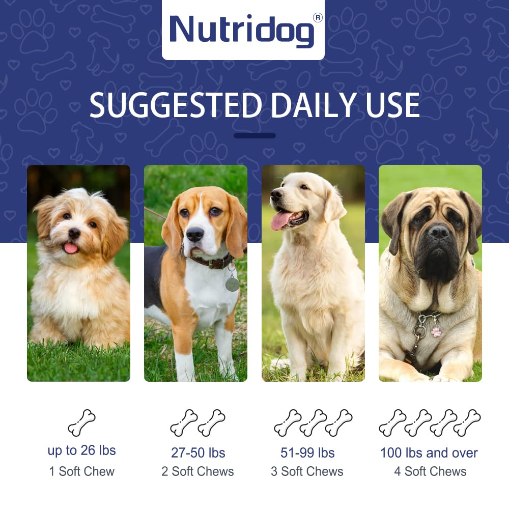 Nutridog chicken-flavored chews designed for seniors and daily liver support