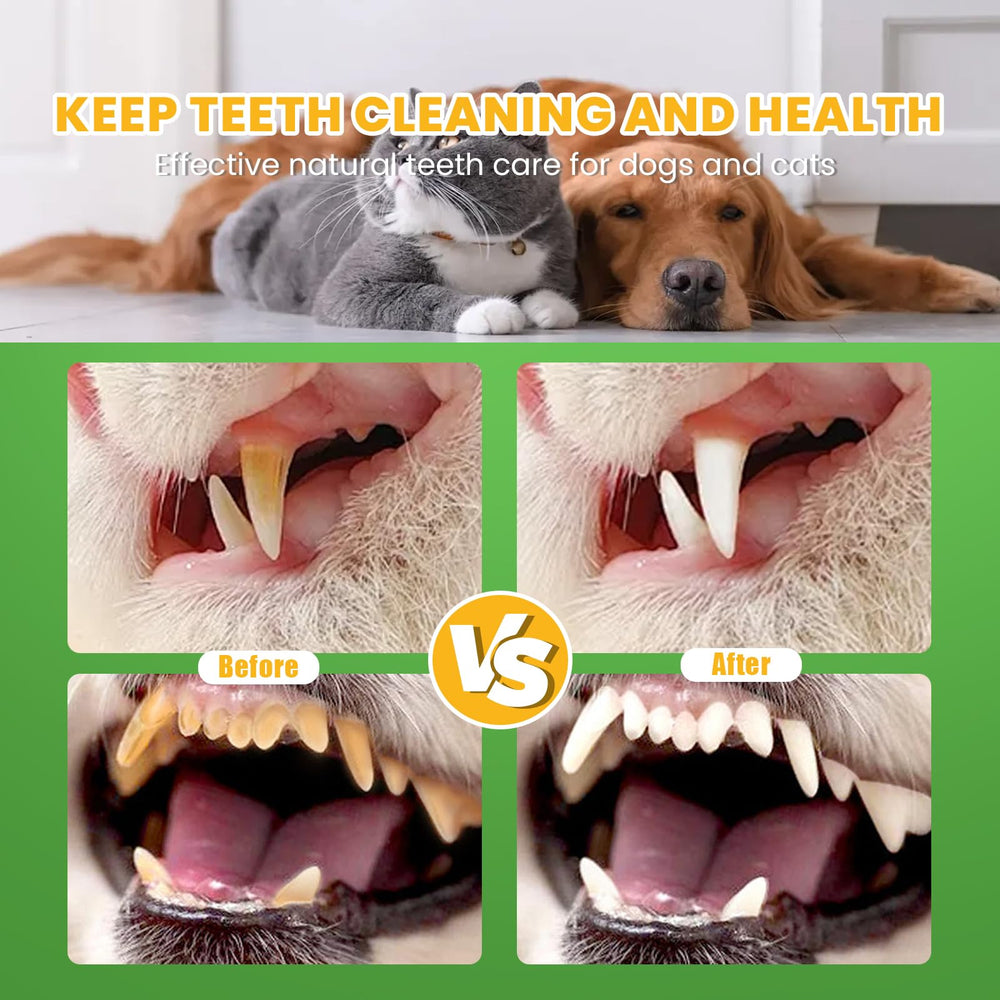 Nutridog dental powder on dog food—pre-mixed texture supports convenient oral care.