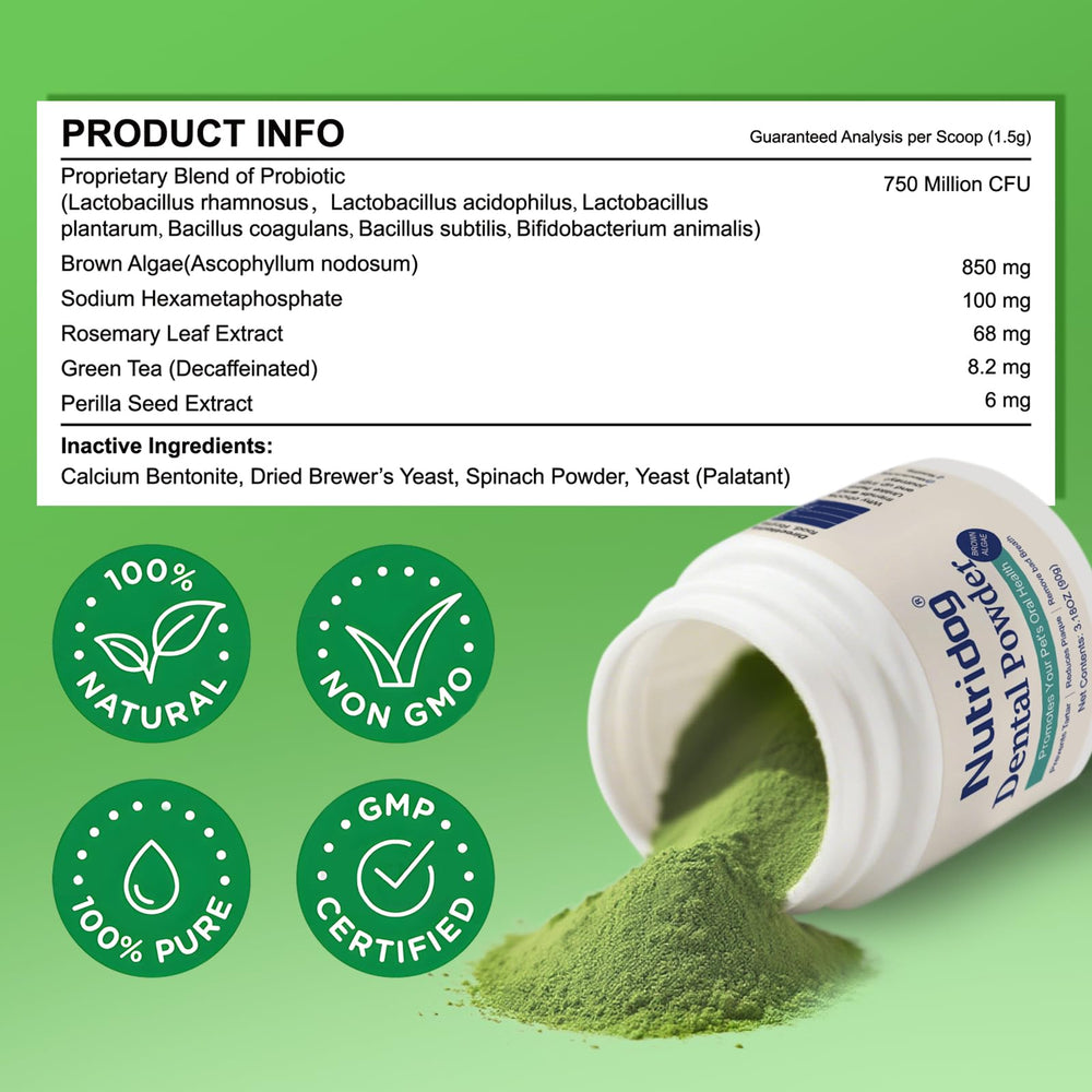 Nutridog eco-packaging and long-lasting 60+ servings—affordable, sustainable oral care.