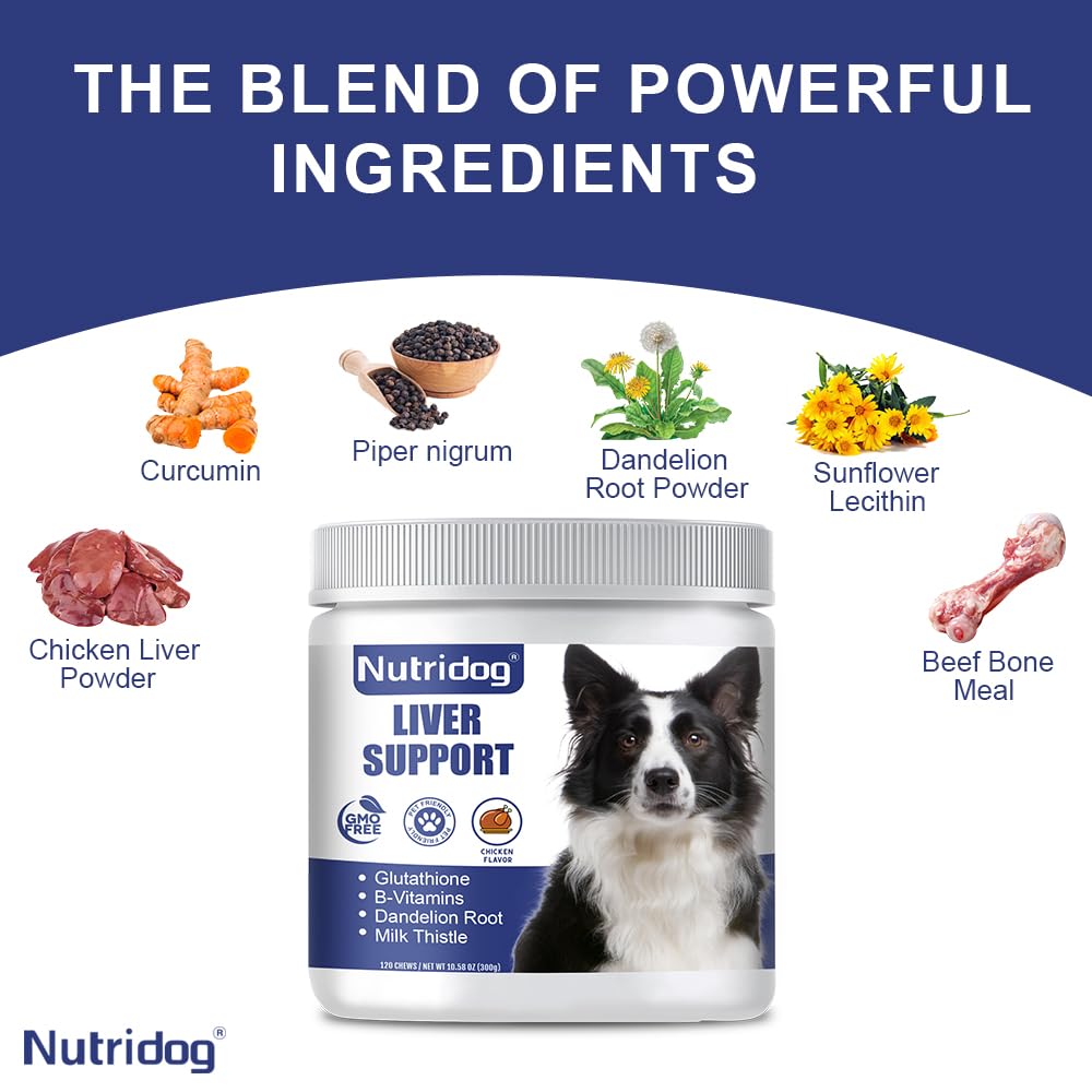 Nutridog Liver Support Chews chicken flavor close-up appealing to picky eaters
