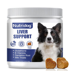 Nutridog Liver Support Chews packshot showing chicken-flavored chews for liver and kidney health