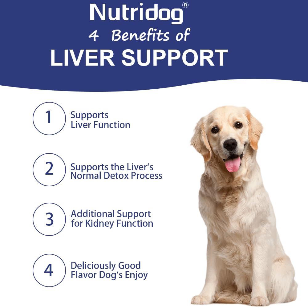 Nutridog Liver Support Chews suggesting potential energy and coat improvements