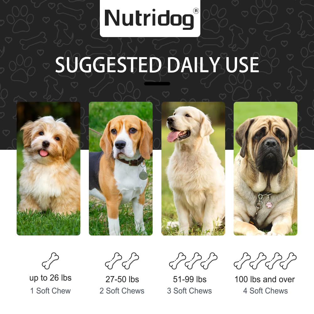 Nutridog NASC-certified lab-testing packaging for trusted safety and quality