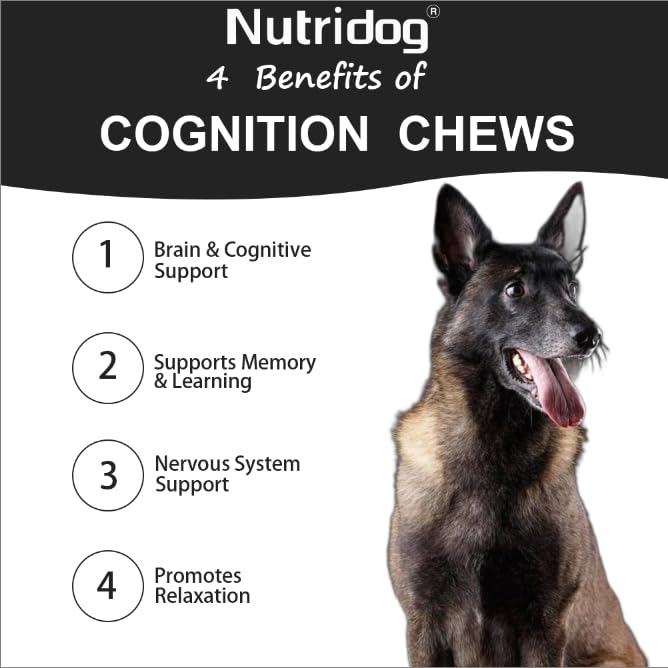 Nutridog organic Lions Mane ingredient close view for nerve health and resilience