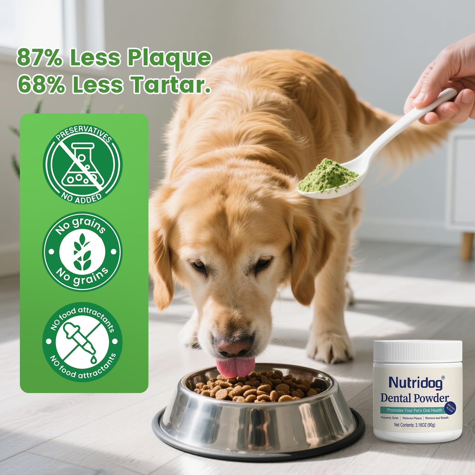 Nutridog perilla extract for senior gums—gentle support across life stages.