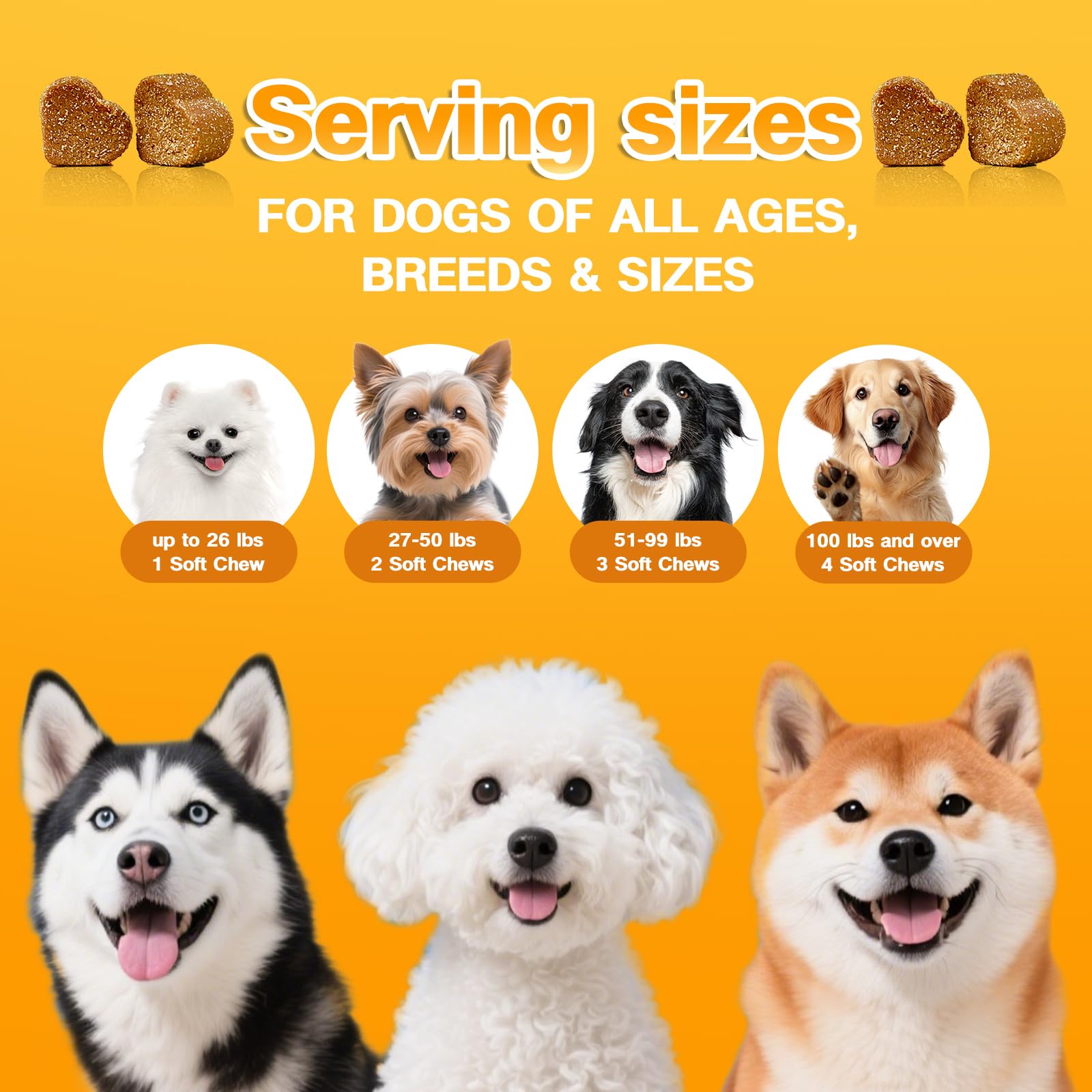 Nutridog Skin & Coat-120-count-jar-view: convenient jar with 120 chews