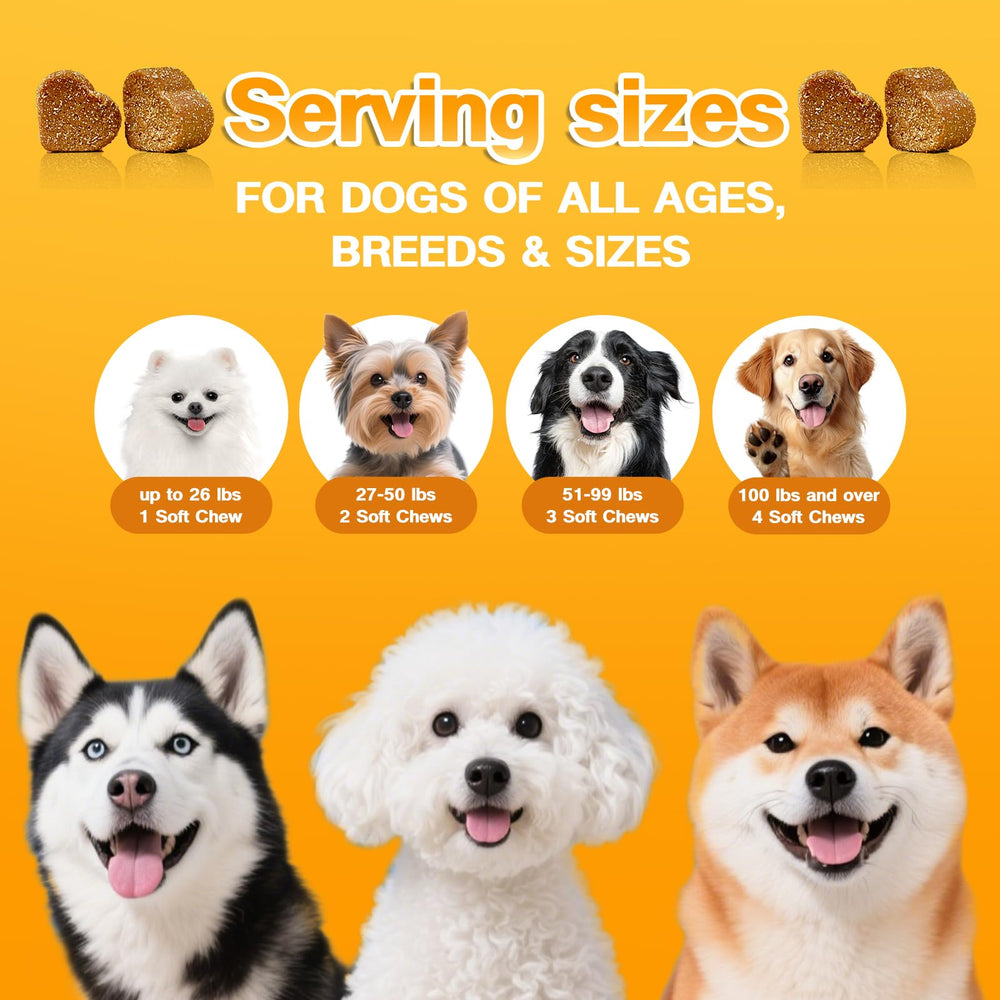 Nutridog Skin & Coat-120-count-jar-view: convenient jar with 120 chews