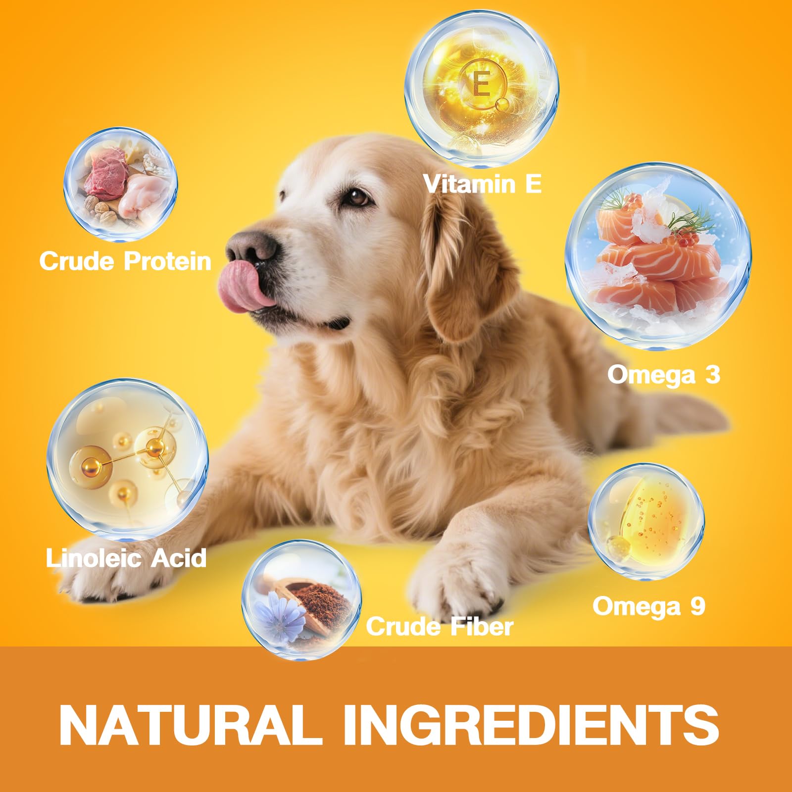 Nutridog Skin & Coat beef-chews-closeup: savory chews dogs enjoy daily