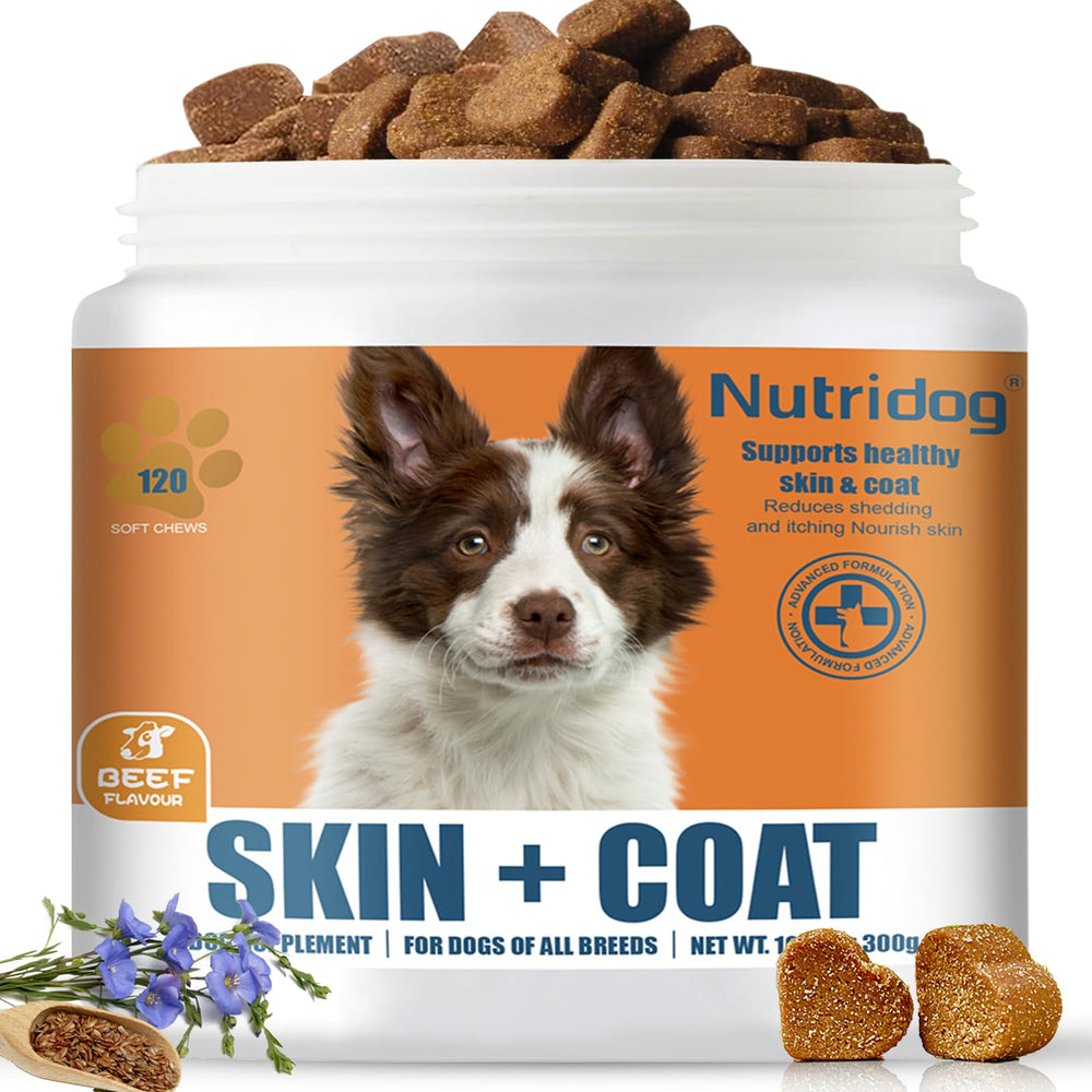 Nutridog Skin & Coat beef-chews-jar: tasty daily support for itchy skin