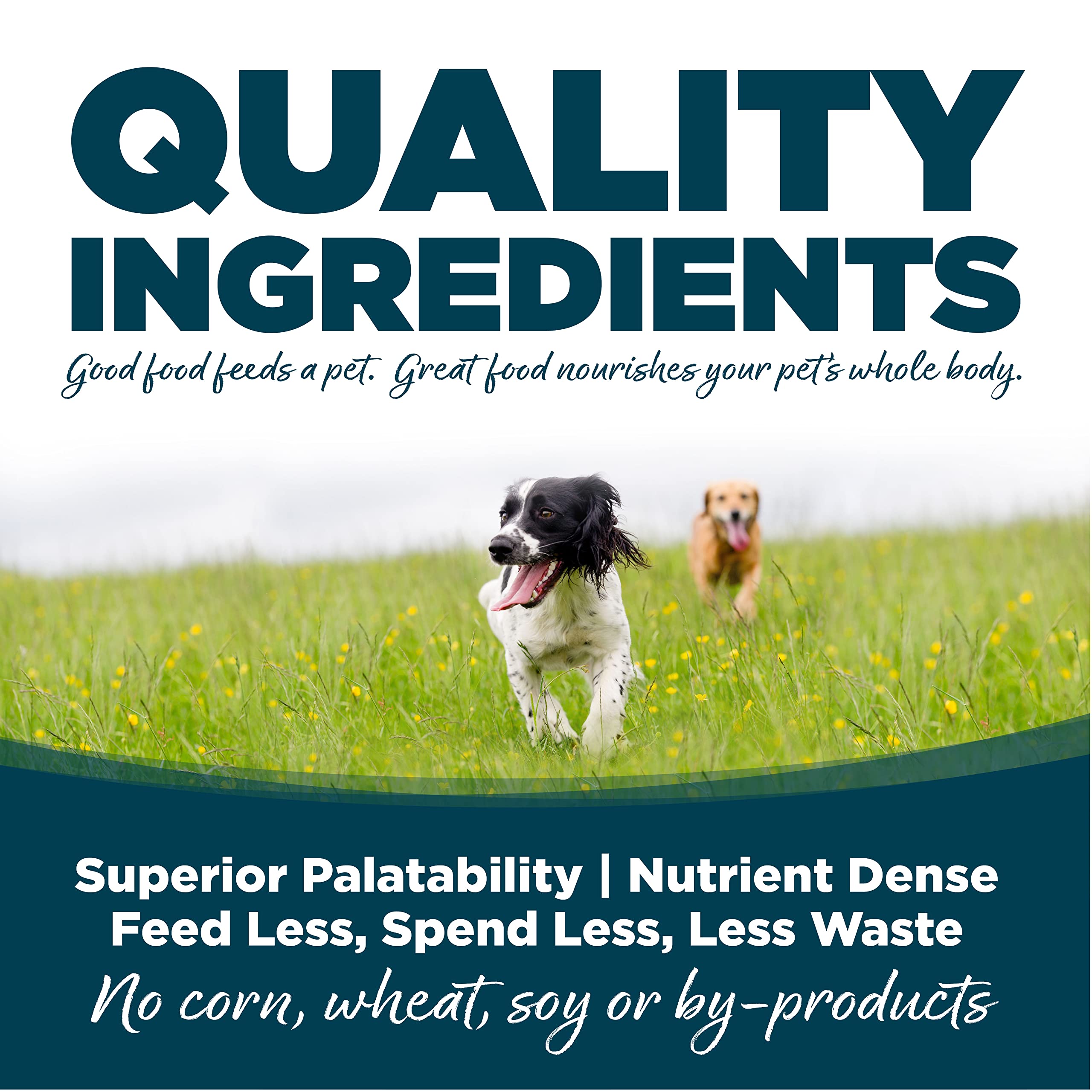 NutriSource Good 4 Life ingredients close-up emphasizes gut-supportive nutrition.