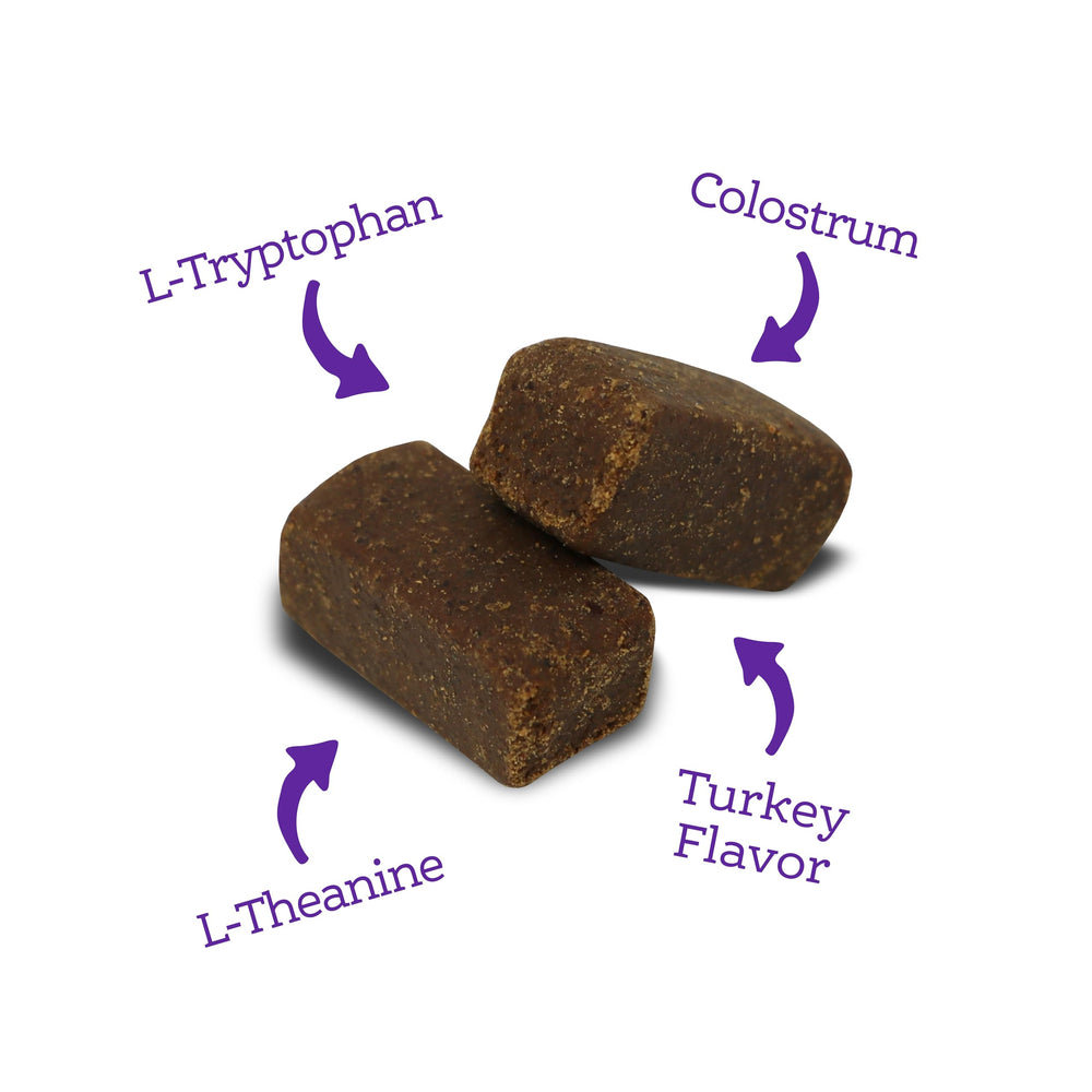 NutriSource AmpliFull daily-use setup with chews in hand.