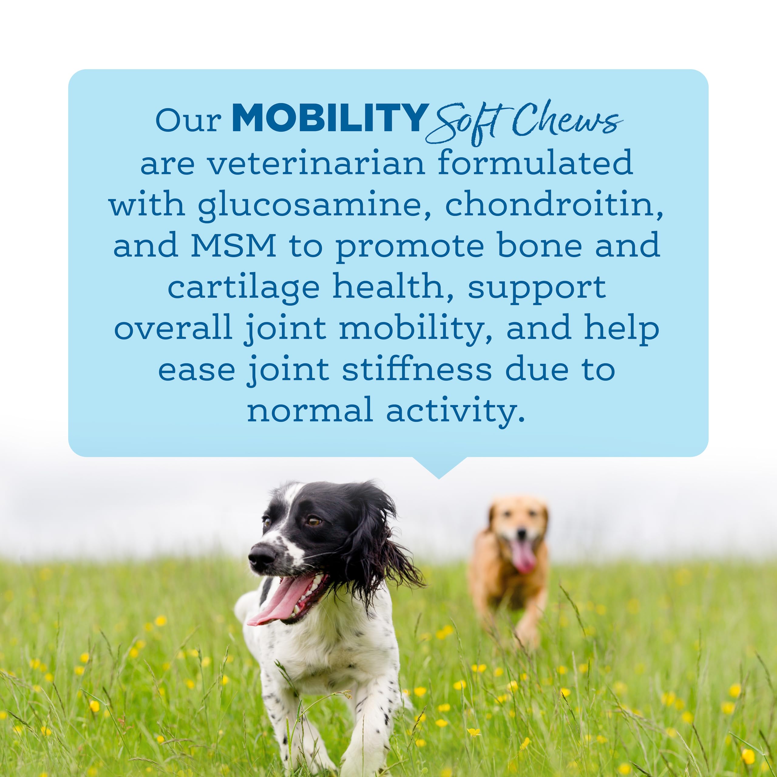 NutriSource AmpliFull Turkey Mobility Soft Chews bottle close-up highlighting glucosamine and chondroitin.