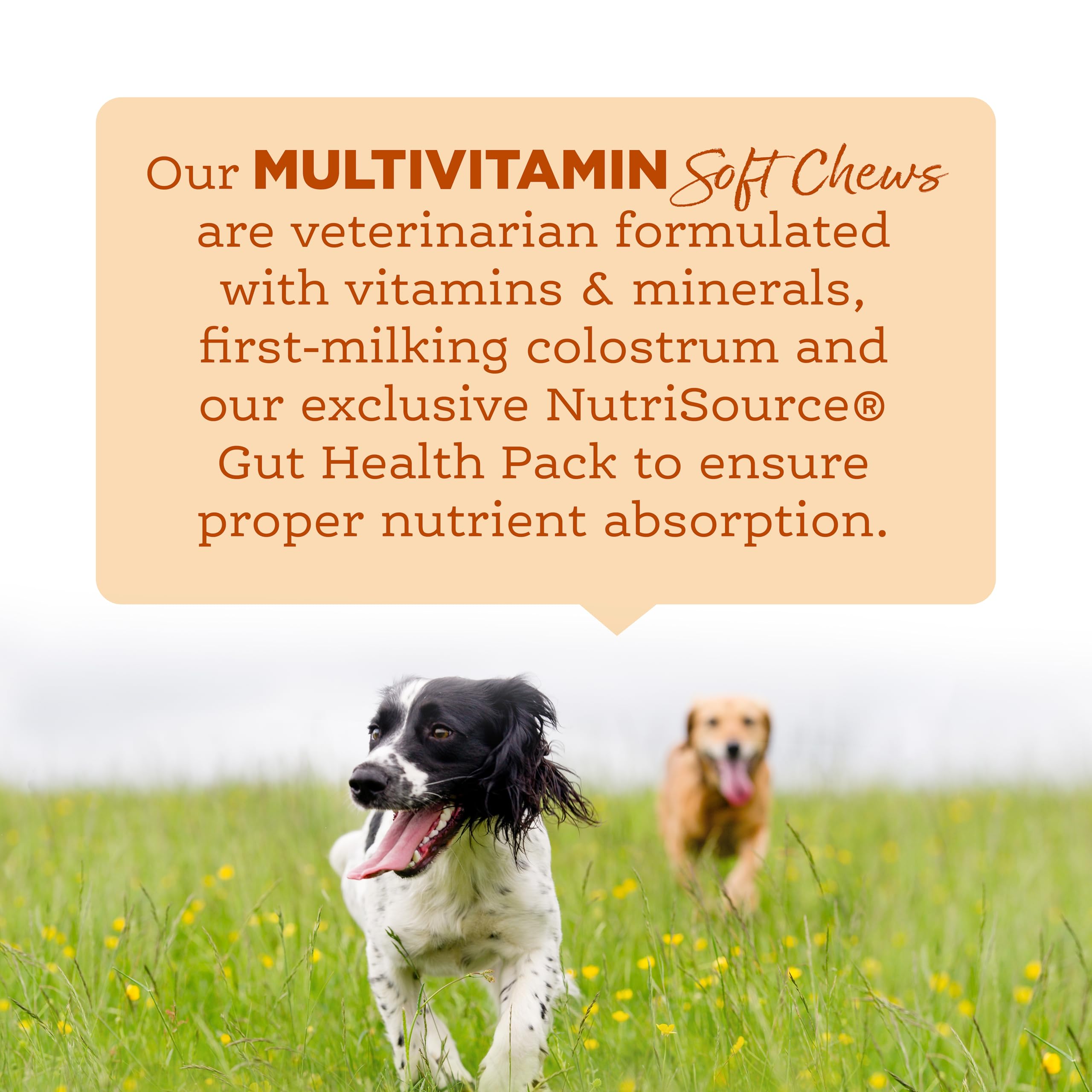 NutriSource AmpliFull dog eating chews for easy daily dosing.