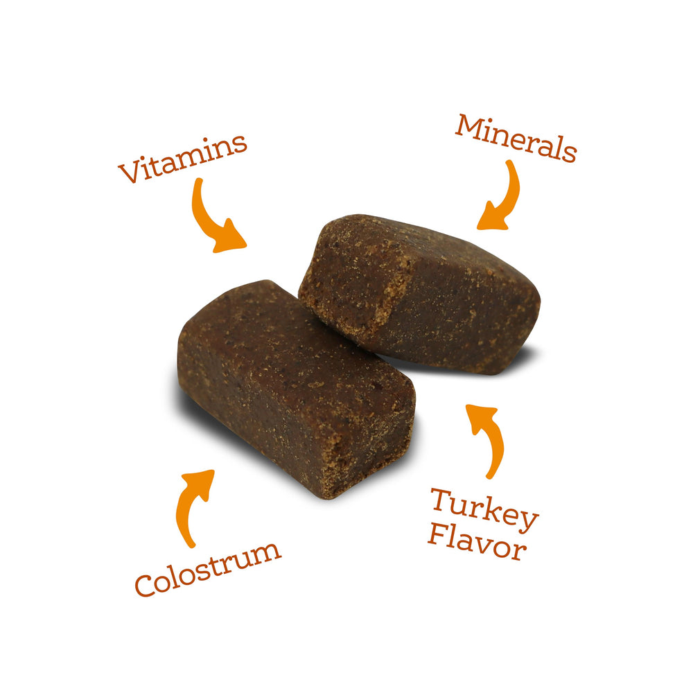 NutriSource AmpliFull turkey flavor aroma appeals to dogs.