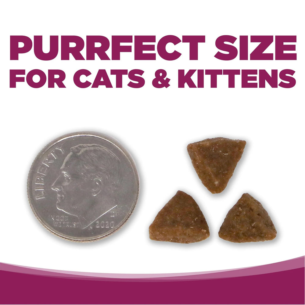 NutriSource Cat & Kitten Food all-life-stages image highlights versatility and growing-kitten suitability.