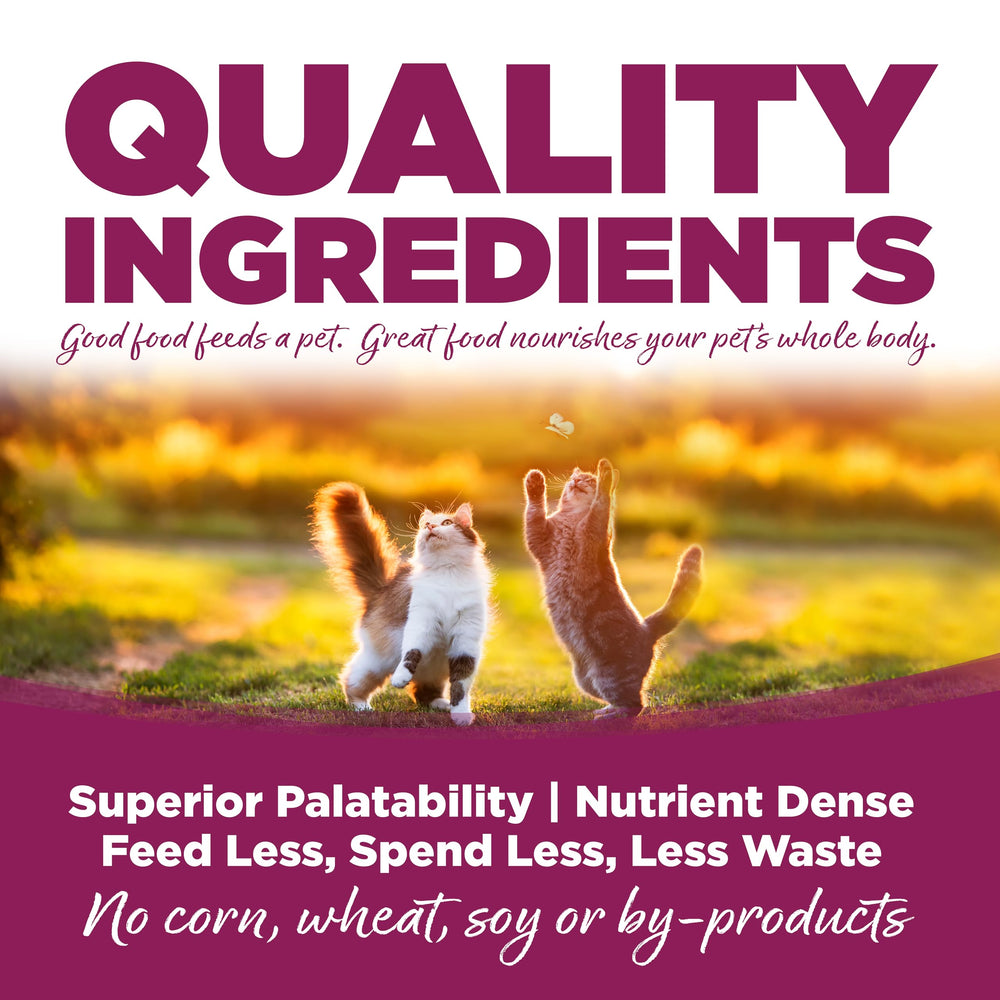 NutriSource cat-kittten kitchen counter setup for quick meals
