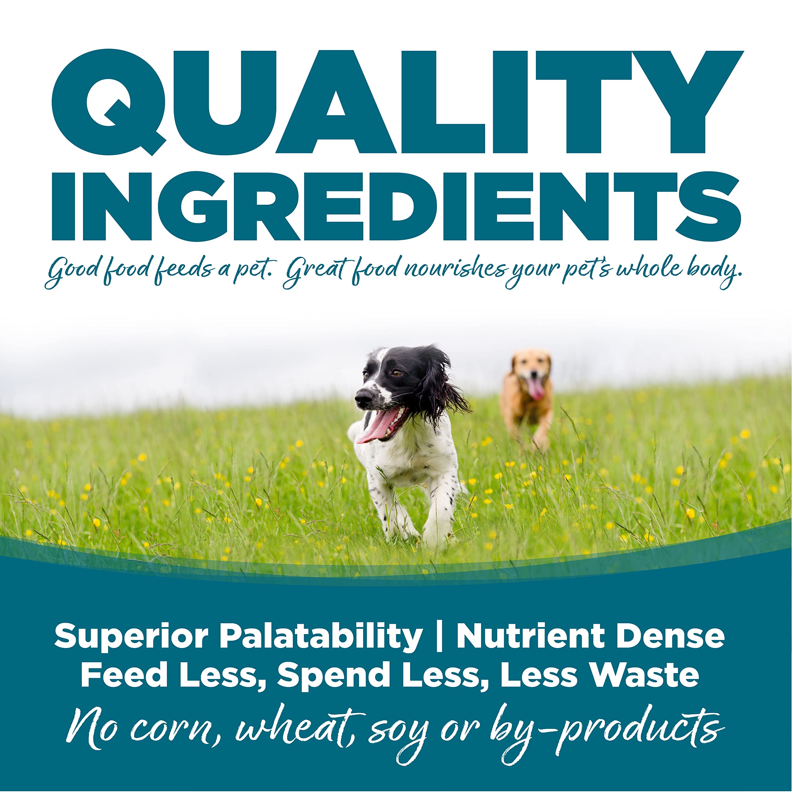 NutriSource chicken and rice ingredients closeup highlighting wholesome grains for easy meals.
