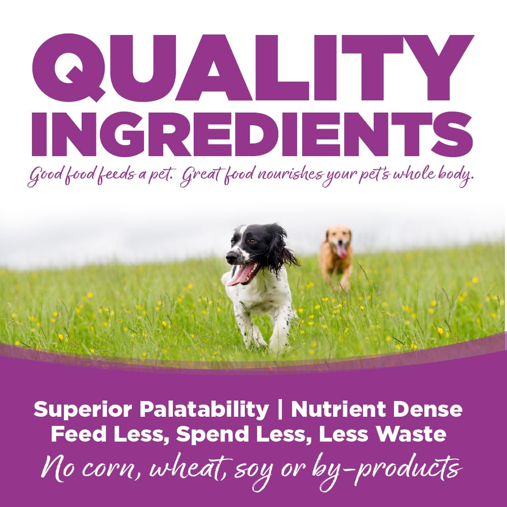 NutriSource Chicken & Rice Puppy Wet Food in bowl highlights easy serving and palatable aroma.