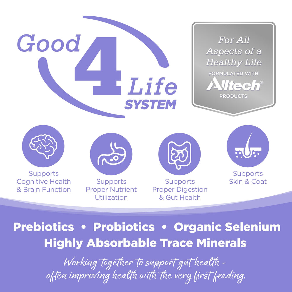 NutriSource Element Upland Stream rabbit ingredient showcases lean protein and diverse nutrients.