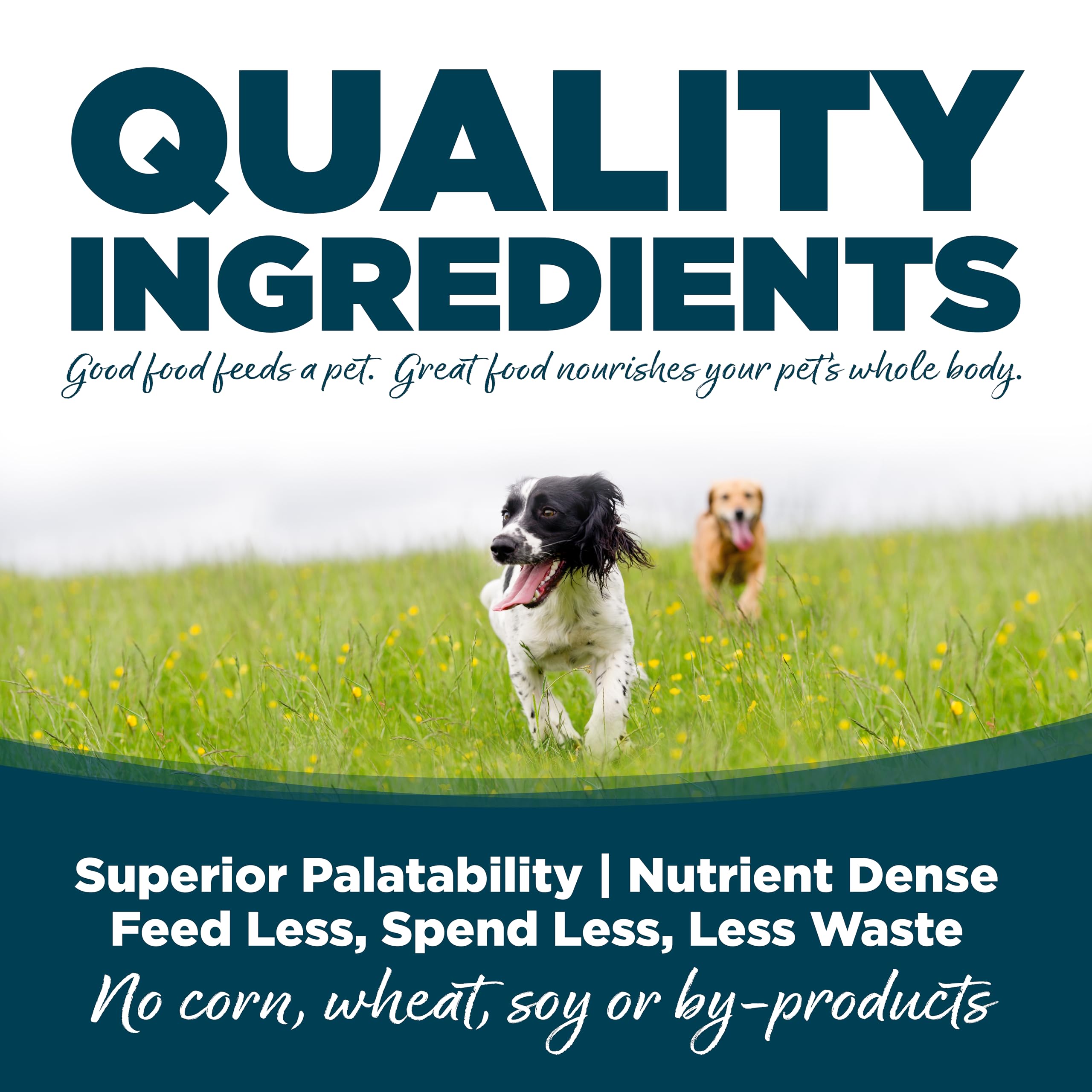 NutriSource grain-inclusive dog food ingredients bowl shows gut-friendly prebiotics.
