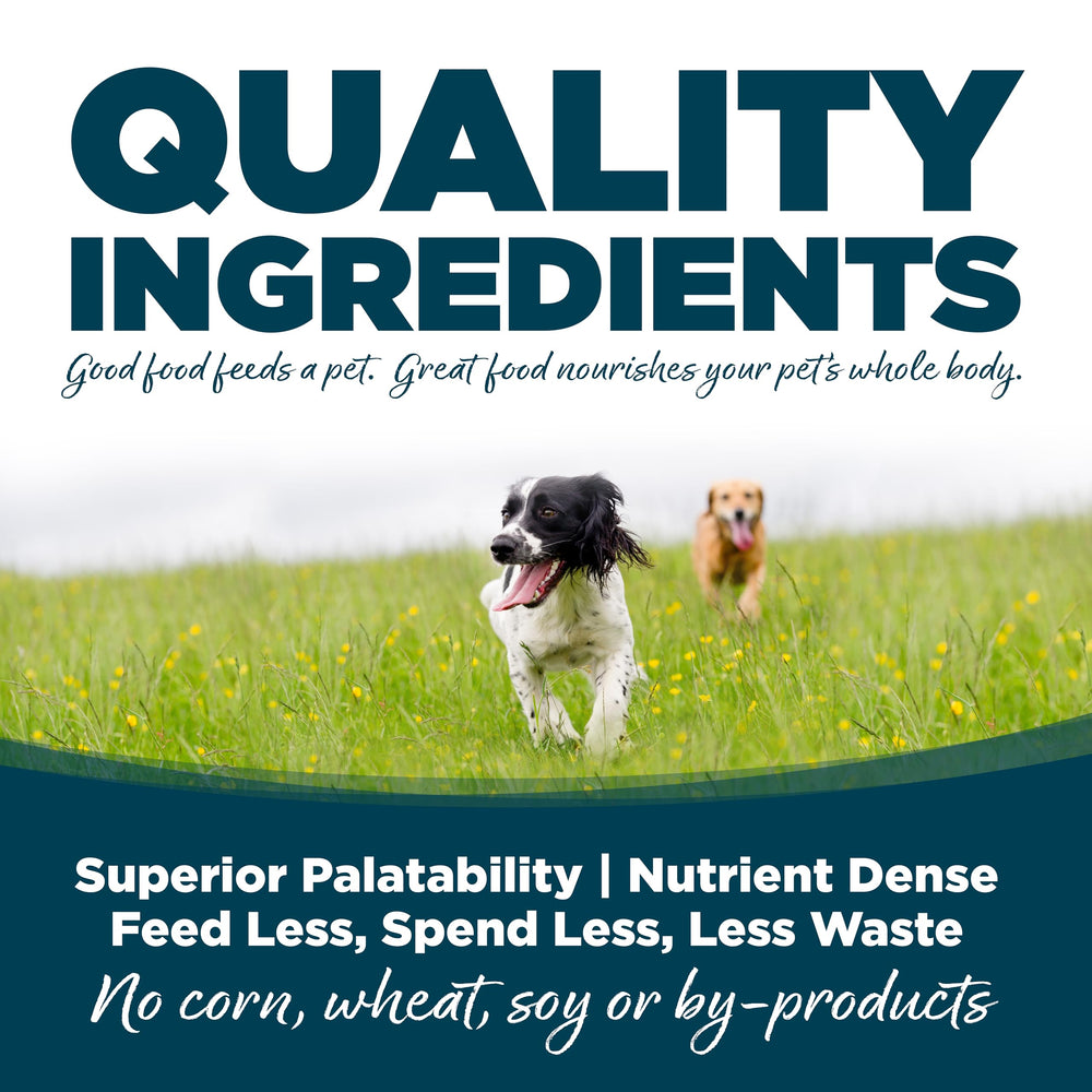 NutriSource grain-inclusive dog food ingredients bowl shows gut-friendly prebiotics.