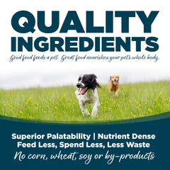 NutriSource grain-inclusive dog food ingredients bowl shows gut-friendly prebiotics.