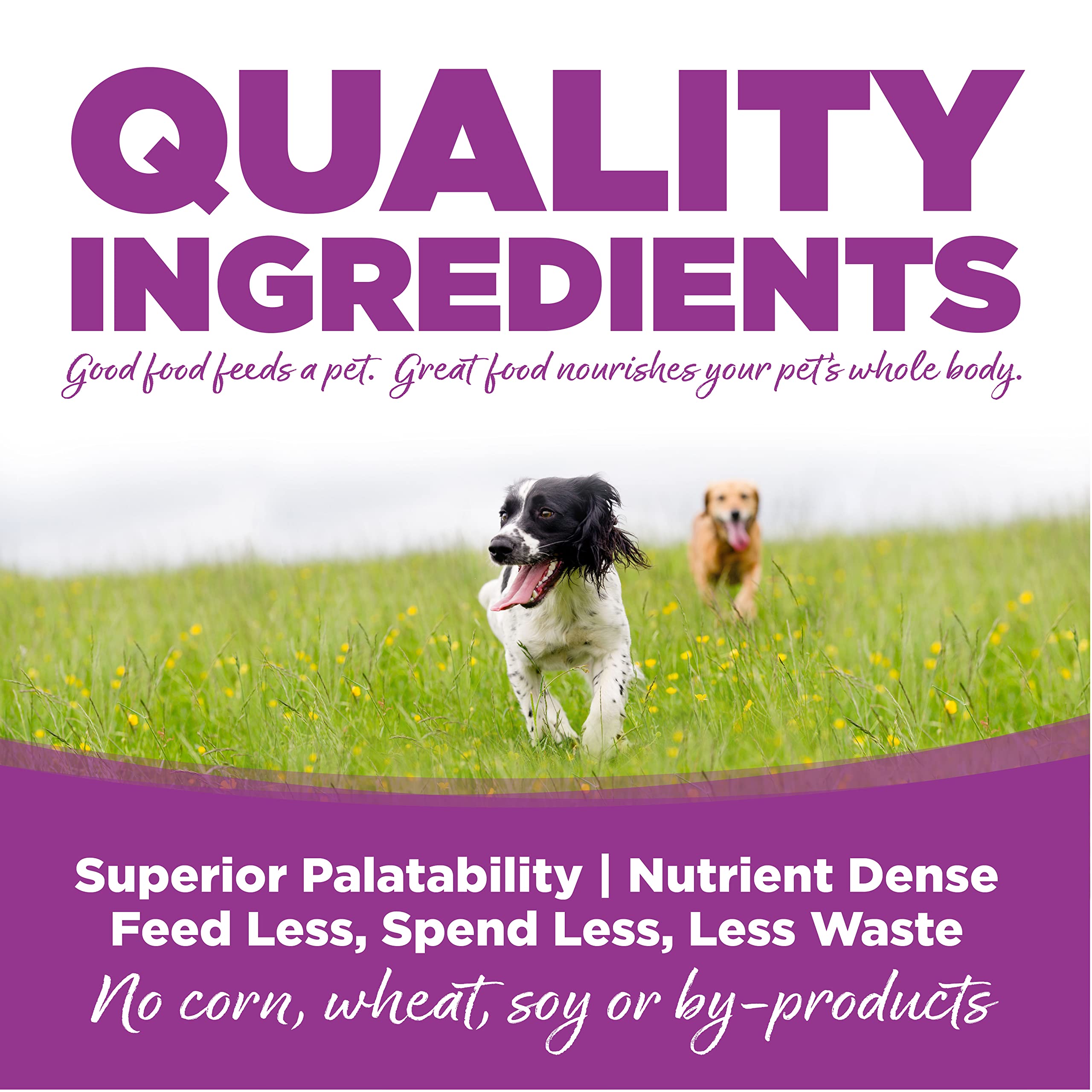 NutriSource Large Breed Puppy feeding bowl scene—easy-to-scoop portions for daily meals.