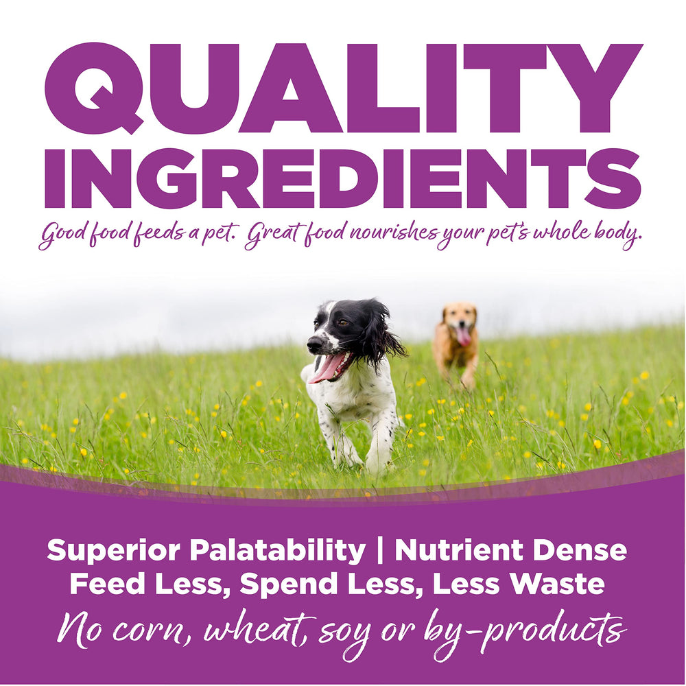 NutriSource Large Breed Puppy feeding bowl scene—easy-to-scoop portions for daily meals.