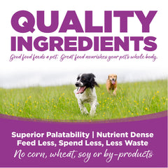 NutriSource Large Breed Puppy feeding bowl scene—easy-to-scoop portions for daily meals.