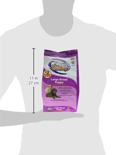 NutriSource Large Breed Puppy kibble close-up—texture and size suited for growing big breeds.