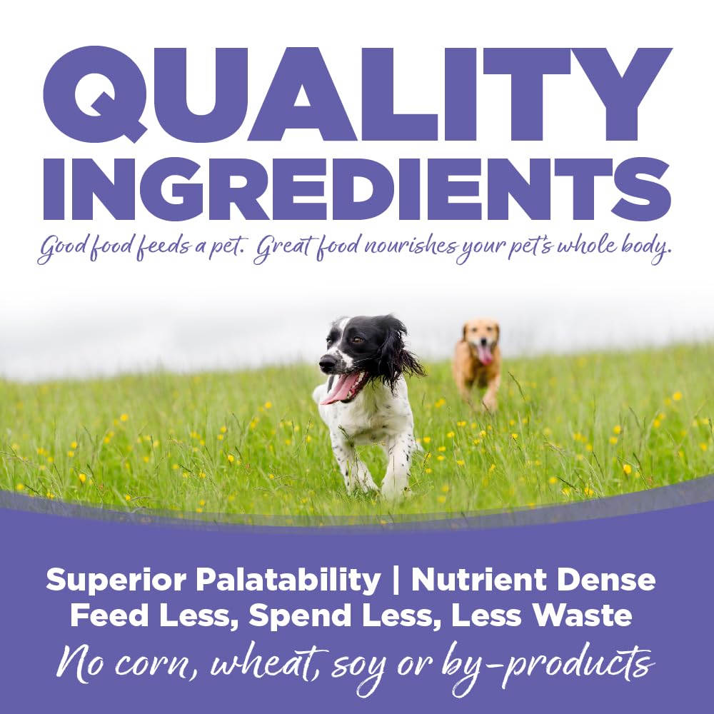 NutriSource packaged wet dog food 12oz can showcases premium formula for small and medium breeds.