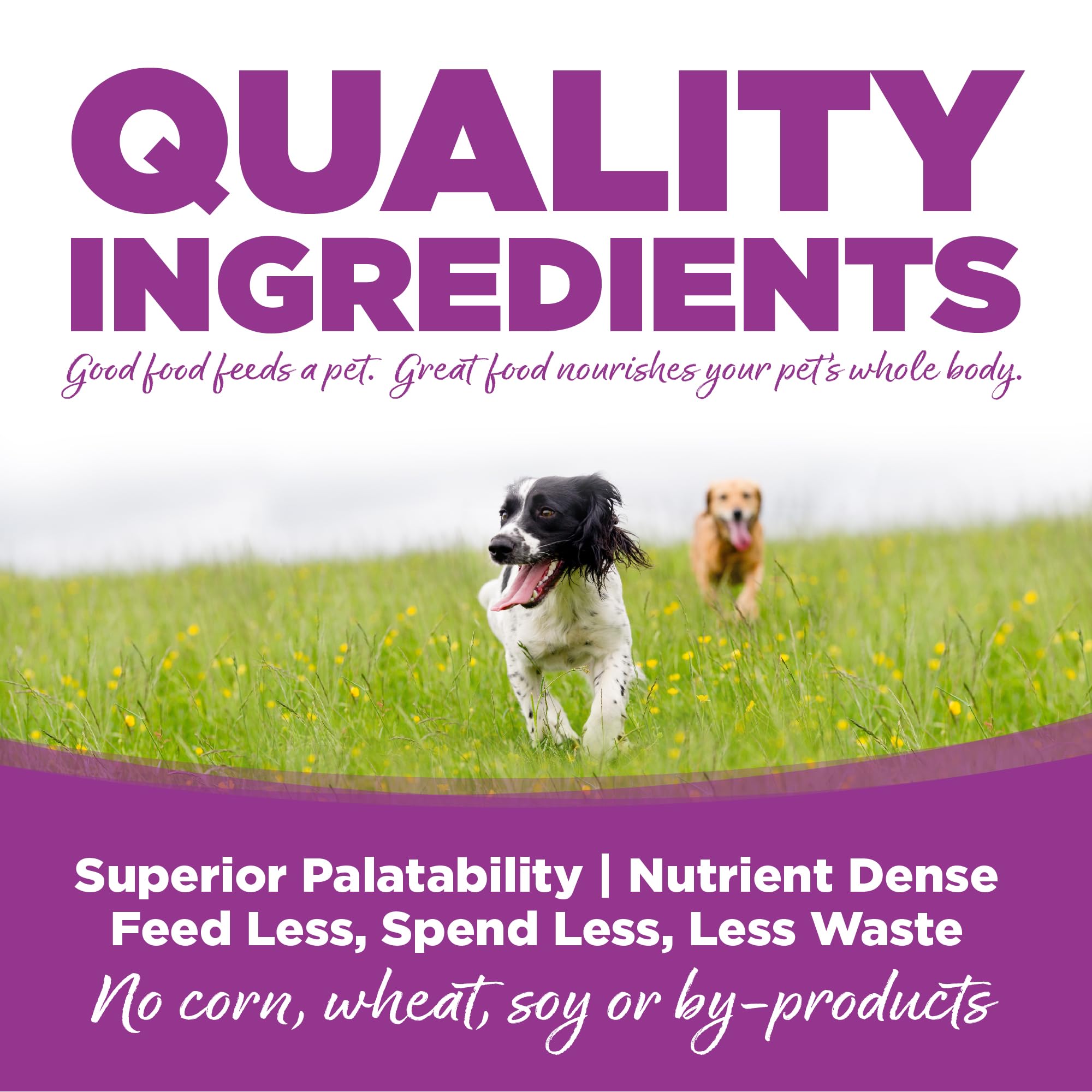 NutriSource large-breed puppy bag with scattered kibble illustrates rotational feeding for varied meals