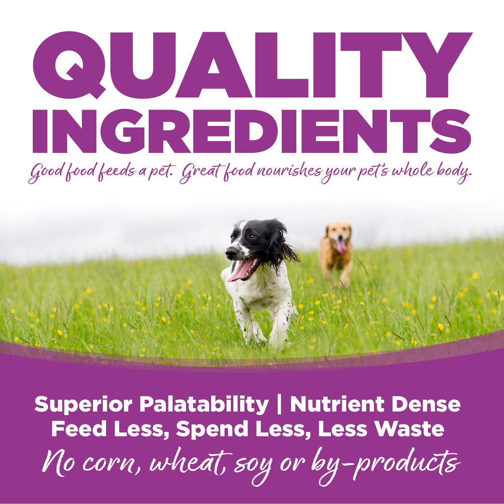 NutriSource large-breed puppy bag with scattered kibble illustrates rotational feeding for varied meals