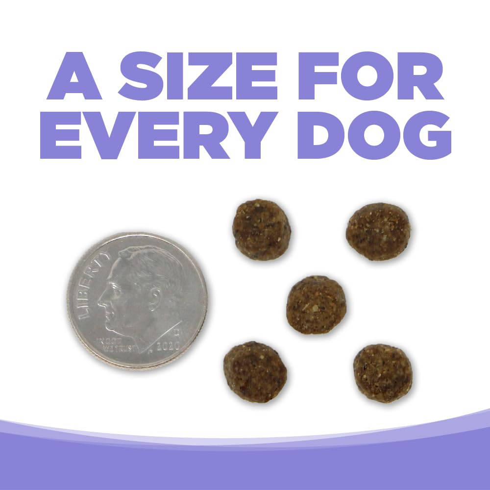 NutriSource Pure Vita Lamb & Pumpkin Puppy Omega Fatty Acids: supports brain and coat health.