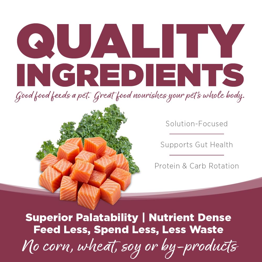 NutriSource Pure Vita kibble close-up illustrating nutrient-rich ingredients and texture.