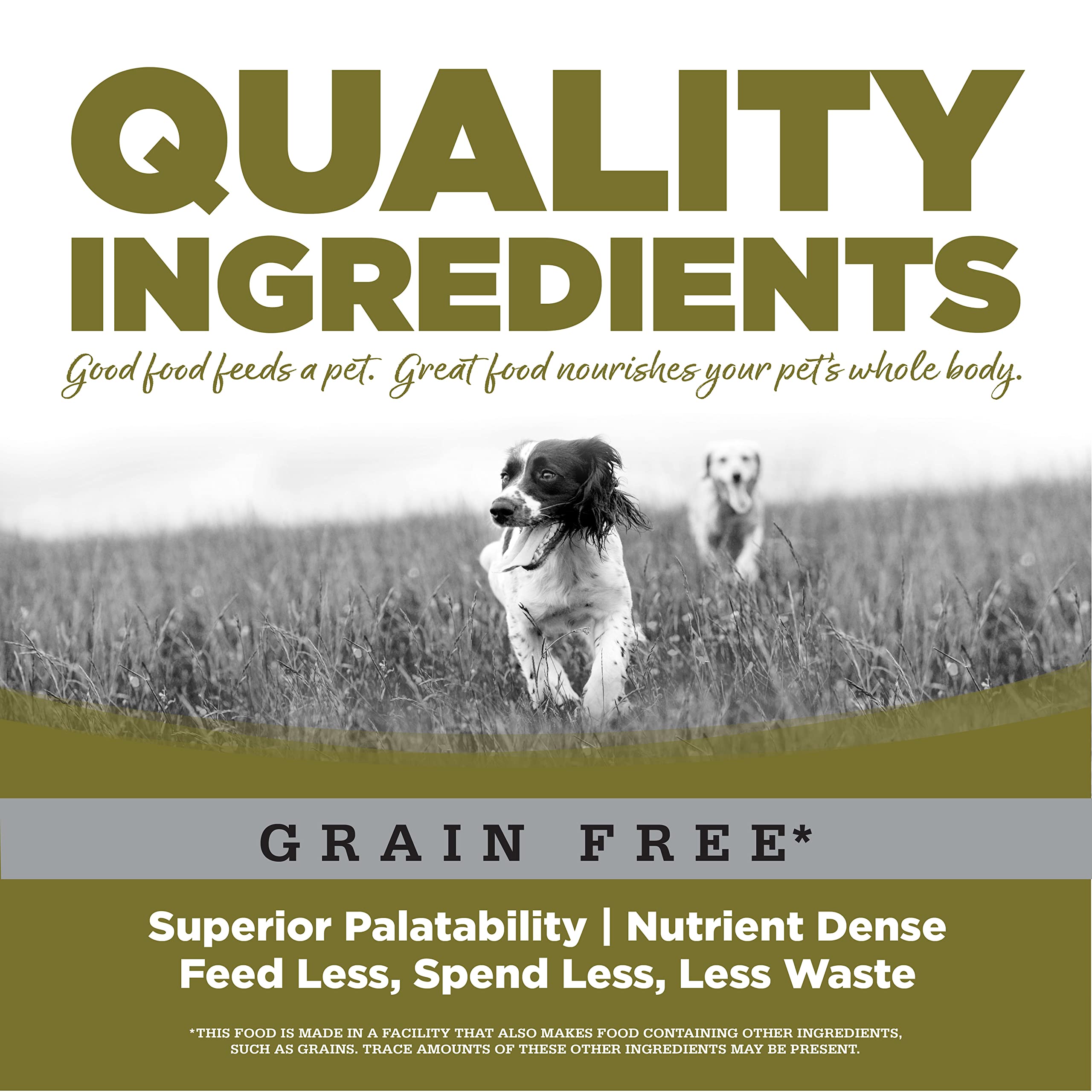 NutriSource Small Bites bowl shot shows easy-to-chew kibble for small breed dogs.