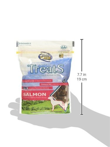 NutriSource Soft & Tender Treats Salmon ingredients highlight natural, wheat-free formulation.